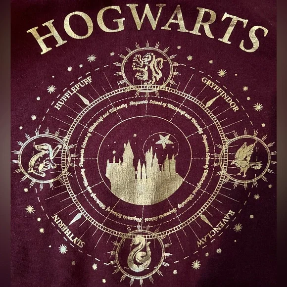 Harry Potter Hogwarts Kids Sz 8/10 Burgundy and Gold Sweatshirt - Picture 2 of 3